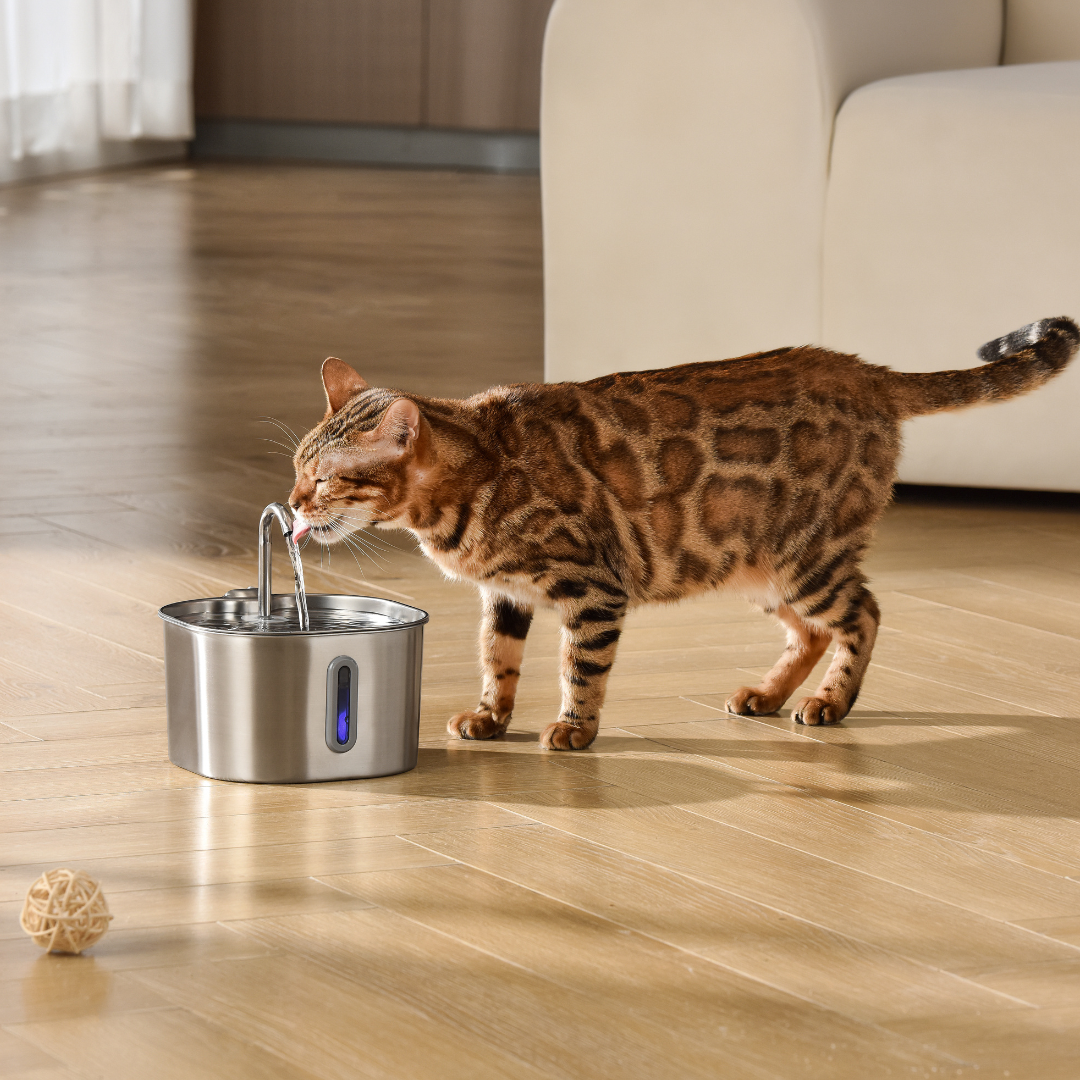 KittySpout Fountain Kit