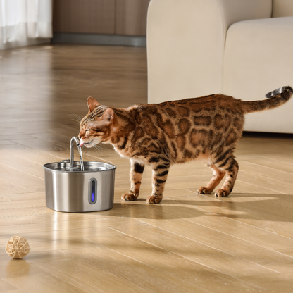 KittySpout Fountain Kit