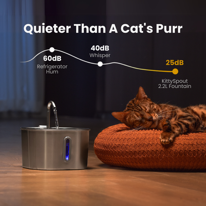 KittySpout Fountain Kit