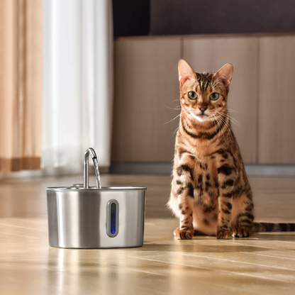 KittySpout Fountain Kit