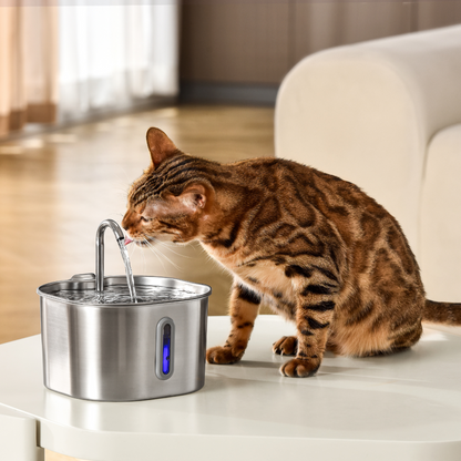 KittySpout Fountain Kit